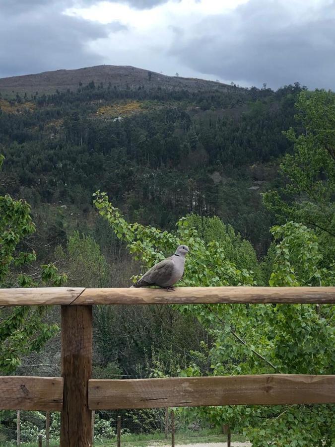 Casa Do Gaio-Turismo De Natureza Arouca Luaran gambar